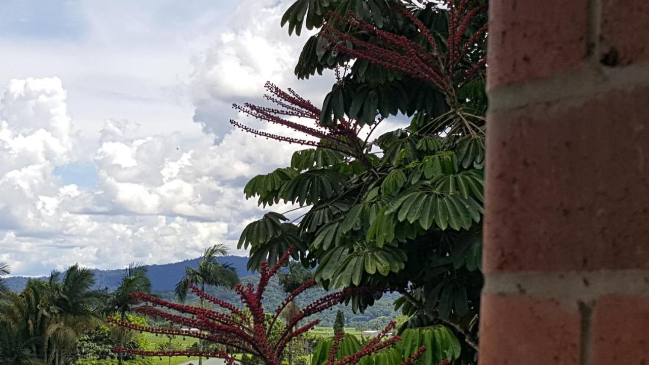 Готель Babinda Quarters Екстер'єр фото