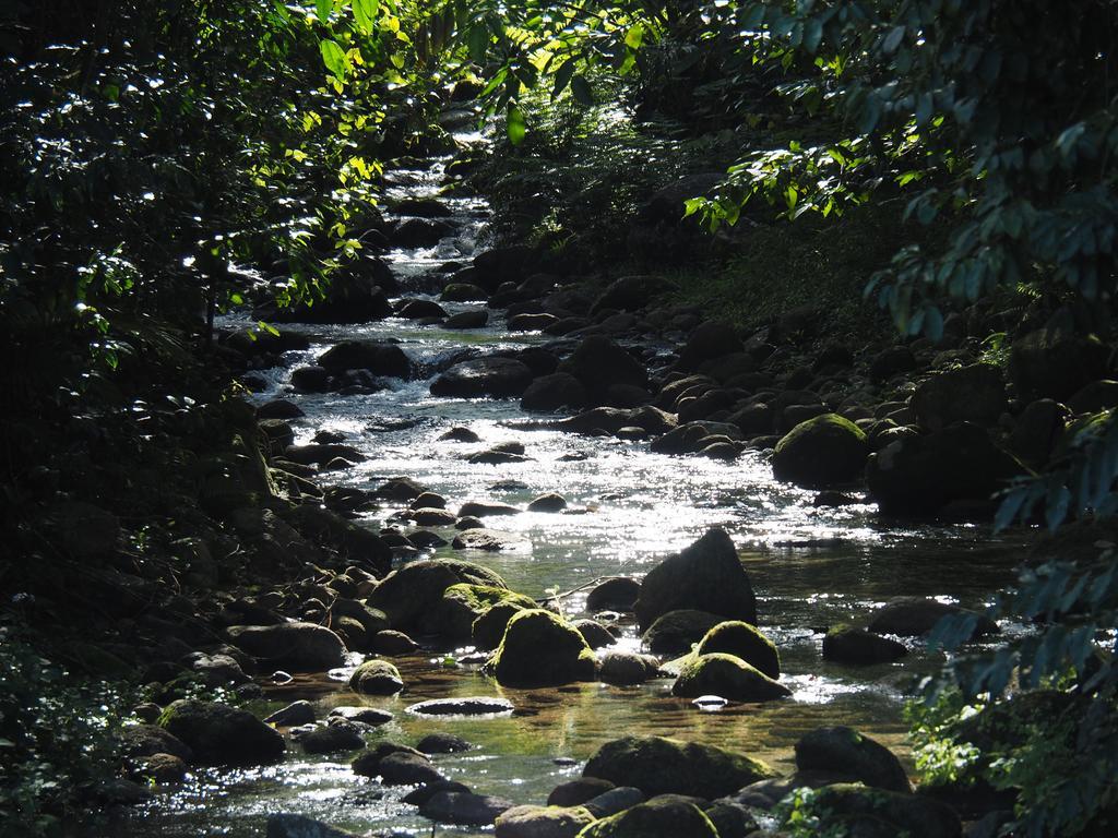 Готель Babinda Quarters Екстер'єр фото